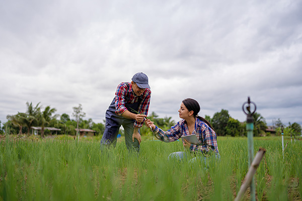 two people examining a plant in a grassy field with trees and a cloudy sky in the background